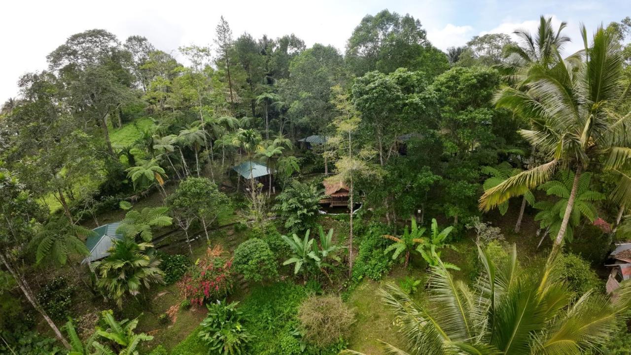 Rimba Eco Resort Tomohon Екстериор снимка