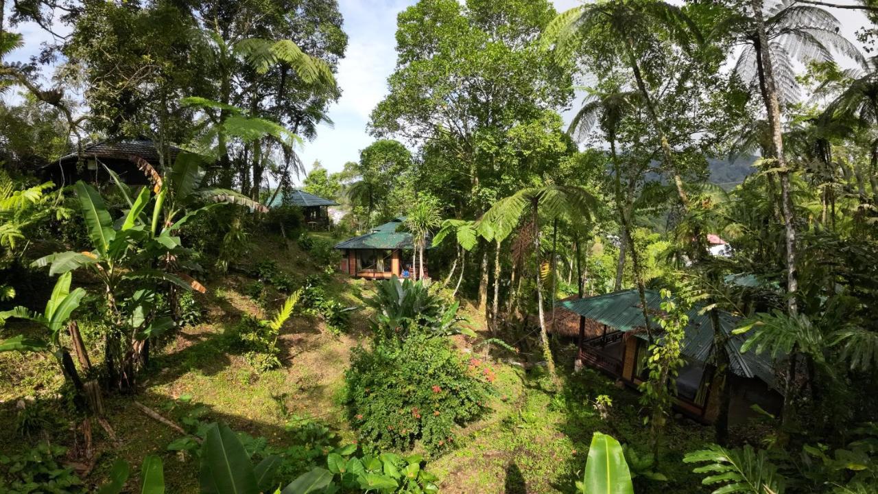 Rimba Eco Resort Tomohon Екстериор снимка