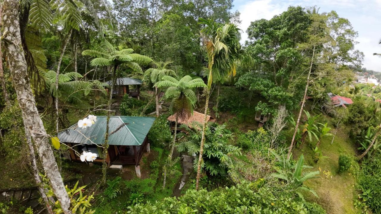 Rimba Eco Resort Tomohon Екстериор снимка