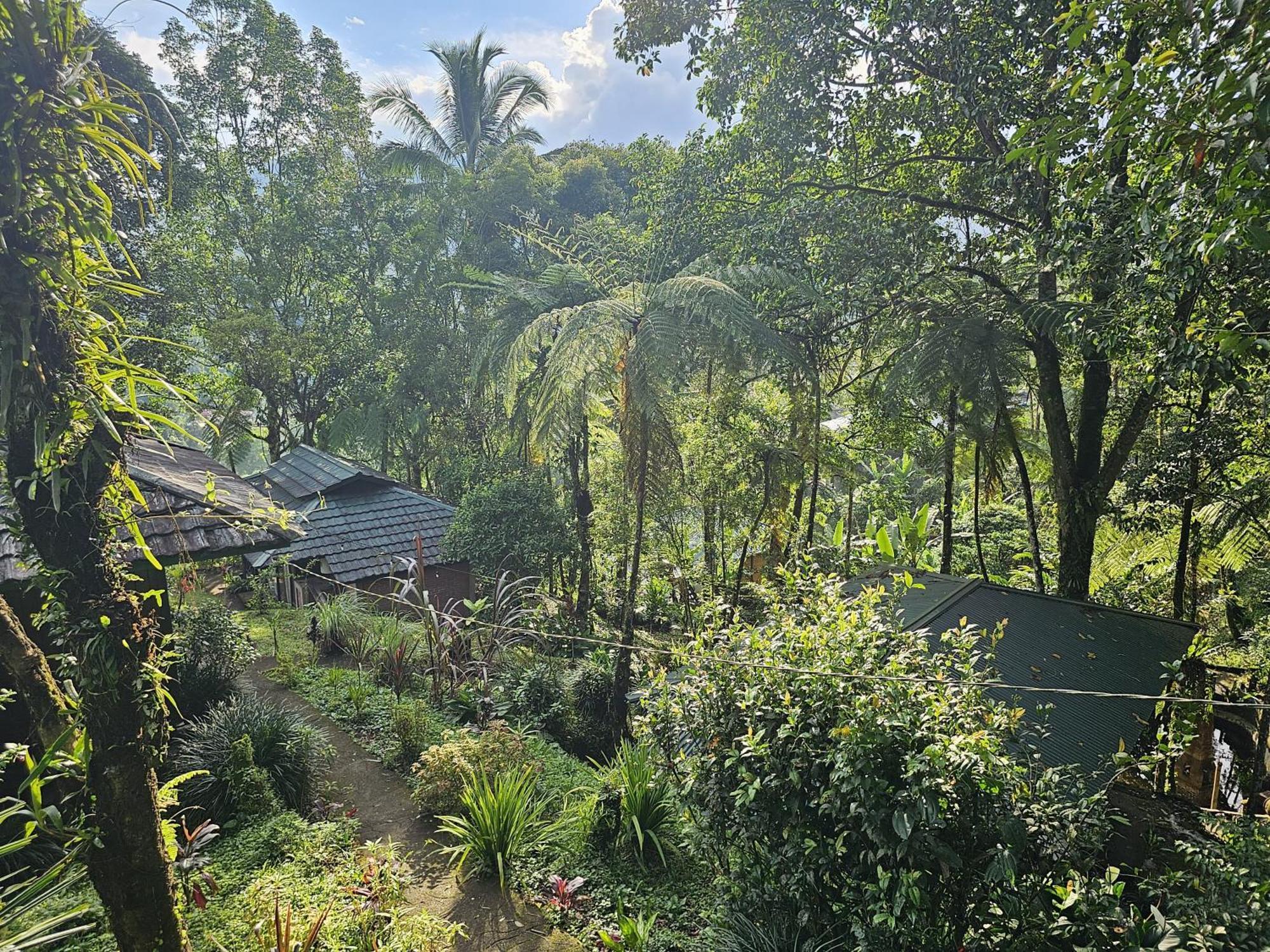 Rimba Eco Resort Tomohon Екстериор снимка