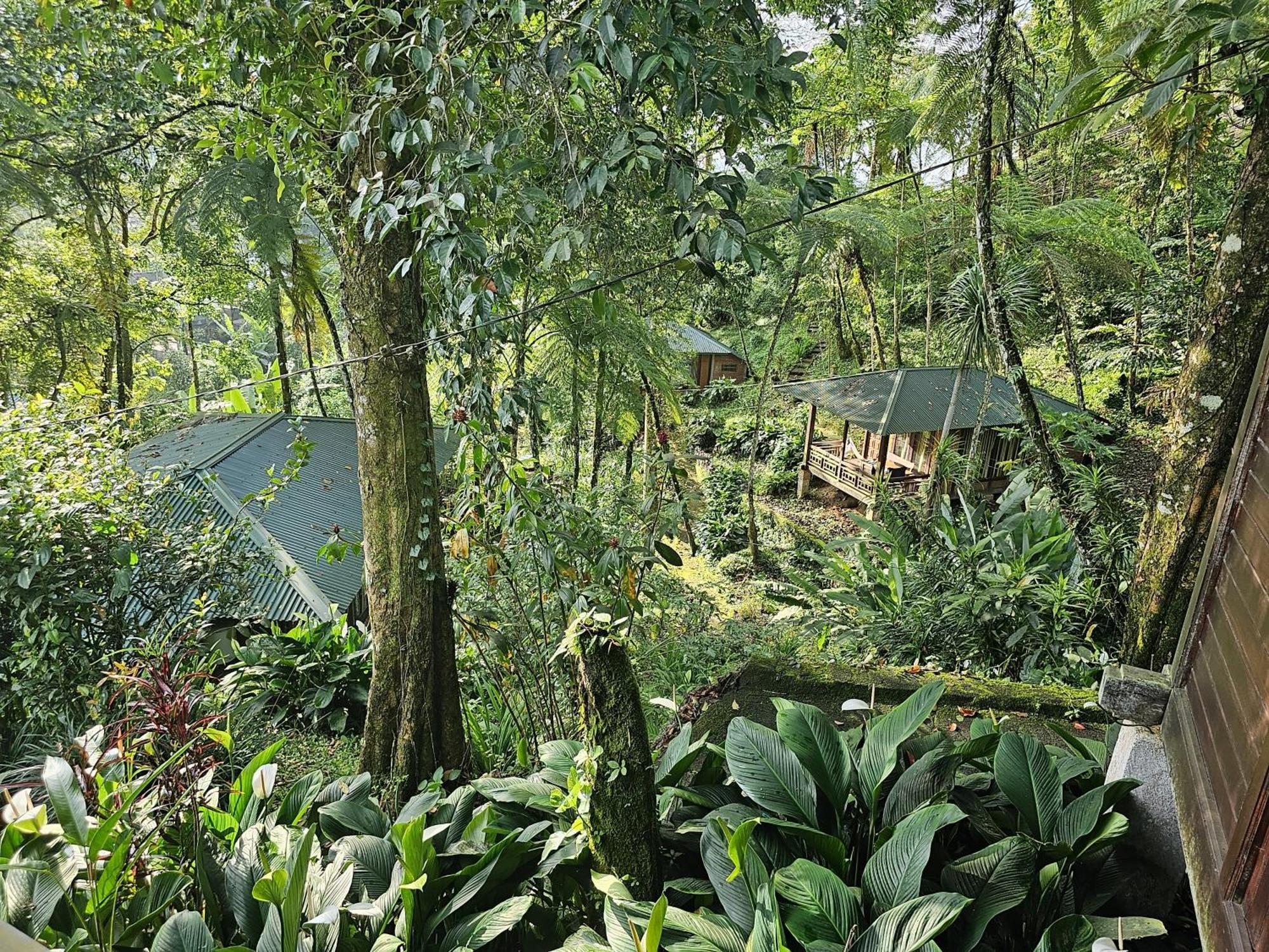 Rimba Eco Resort Tomohon Екстериор снимка